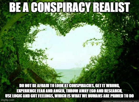 Conspiracy Realist | BE A CONSPIRACY REALIST; DO NOT BE AFRAID TO LOOK AT CONSPIRACIES, GET IT WRONG, EXPERIENCE FEAR AND ANGER, THROW AWAY EGO AND RESEARCH, USE LOGIC AND GUT FEELINGS, WHICH IS WHAT WE HUMANS ARE PRIMED TO DO | image tagged in nature heart | made w/ Imgflip meme maker