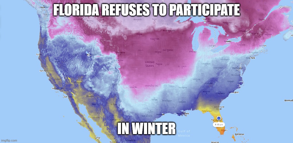 Florida Refuses to Participate in Winter. |  FLORIDA REFUSES TO PARTICIPATE; IN WINTER | image tagged in funny,florida,winter,snow,cold,hot | made w/ Imgflip meme maker
