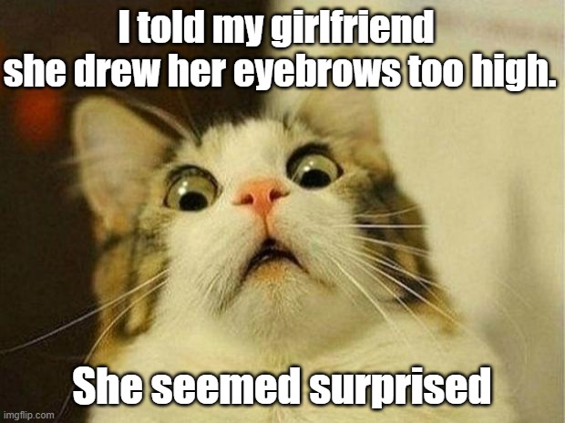 surprised | I told my girlfriend 
she drew her eyebrows too high. She seemed surprised | image tagged in memes,scared cat | made w/ Imgflip meme maker