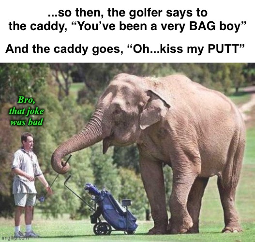 Elephant Caddy Tells a Joke | ...so then, the golfer says to
the caddy, “You’ve been a very BAG boy”; And the caddy goes, “Oh...kiss my PUTT”; Bro, that joke
was bad | image tagged in funny memes,dad jokes,eyeroll | made w/ Imgflip meme maker