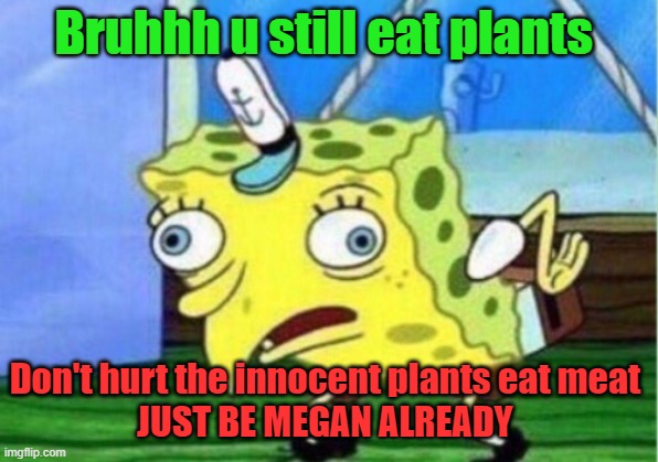 Mocking Spongebob Meme | Bruhhh u still eat plants; Don't hurt the innocent plants eat meat 
JUST BE MEGAN ALREADY | image tagged in memes,mocking spongebob,vegan | made w/ Imgflip meme maker