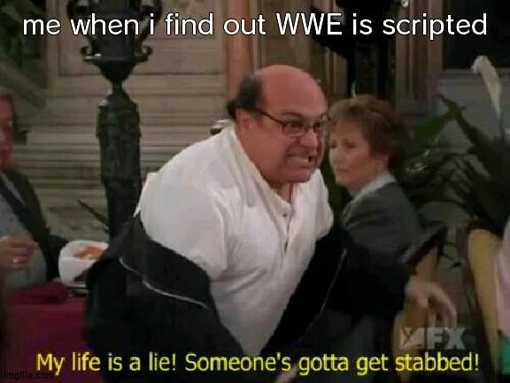 My Life Is A Lie! | me when i find out WWE is scripted | image tagged in my life is a lie | made w/ Imgflip meme maker