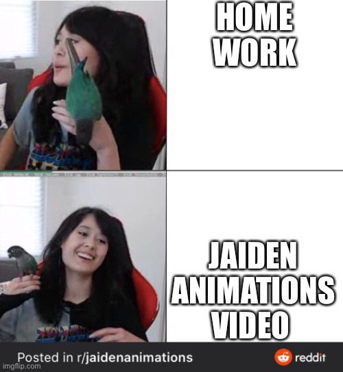 Jaiden | HOME WORK; JAIDEN ANIMATIONS VIDEO | image tagged in homework,jaiden animations,drake hotline bling,drake | made w/ Imgflip meme maker