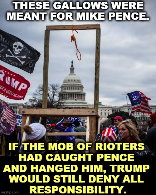 No Noose is Good Noose. | THESE GALLOWS WERE MEANT FOR MIKE PENCE. IF THE MOB OF RIOTERS 
HAD CAUGHT PENCE 
AND HANGED HIM, TRUMP 
WOULD STILL DENY ALL 
RESPONSIBILITY. | image tagged in capitol riot gallows noose pence,gallows,noose,mob,riot,pence | made w/ Imgflip meme maker