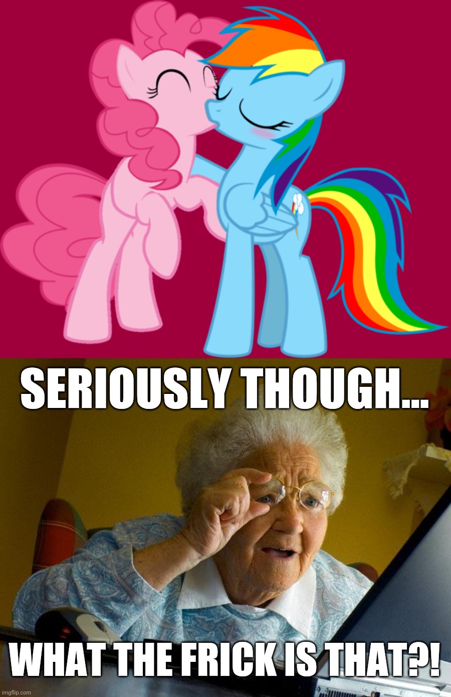 WTF??? | SERIOUSLY THOUGH... WHAT THE FRICK IS THAT?! | image tagged in memes,grandma finds the internet,pinkie pie,rainbow dash,seriously wtf,mlp fim | made w/ Imgflip meme maker