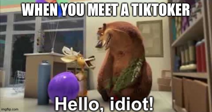 Yes | WHEN YOU MEET A TIKTOKER | image tagged in hello idiot | made w/ Imgflip meme maker