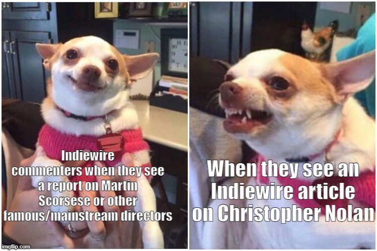 Adorable Indiewire commenters, crusading against the evil Hollywood agenda | When they see an Indiewire article on Christopher Nolan; Indiewire commenters when they see a report on Martin Scorsese or other famous/mainstream directors | image tagged in happy chihuahua angry chihuahua | made w/ Imgflip meme maker