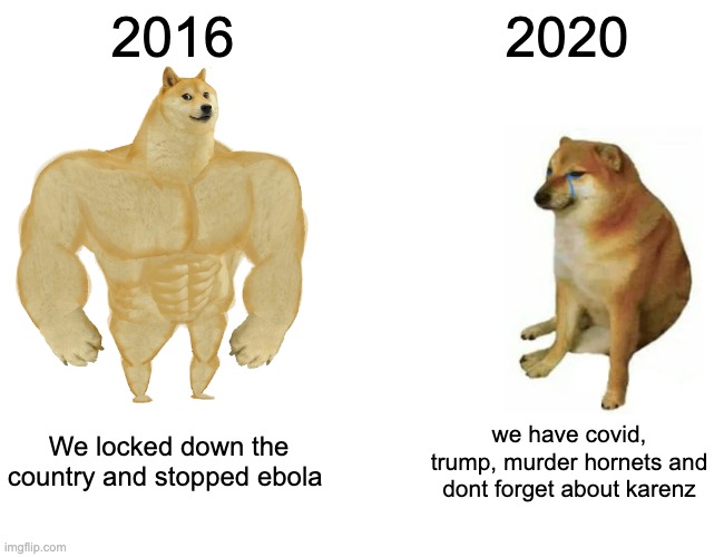 Buff Doge vs. Cheems | 2016; 2020; We locked down the country and stopped ebola; we have covid, trump, murder hornets and dont forget about karenz | image tagged in memes,buff doge vs cheems | made w/ Imgflip meme maker