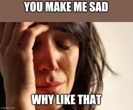 First World Problems Meme | YOU MAKE ME SAD; WHY LIKE THAT | image tagged in memes,first world problems | made w/ Imgflip meme maker