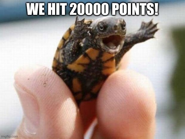 20000 POINTS!!!! | WE HIT 20000 POINTS! | image tagged in happy baby turtle | made w/ Imgflip meme maker