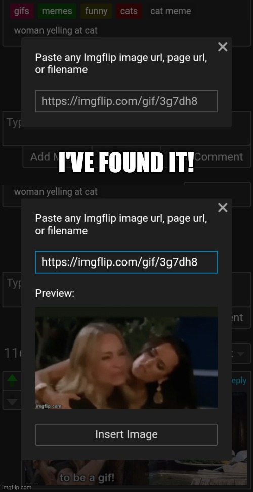 finally I've found it | I'VE FOUND IT! | image tagged in that blur url,woman yelling at cat,gifs,imgflip | made w/ Imgflip meme maker