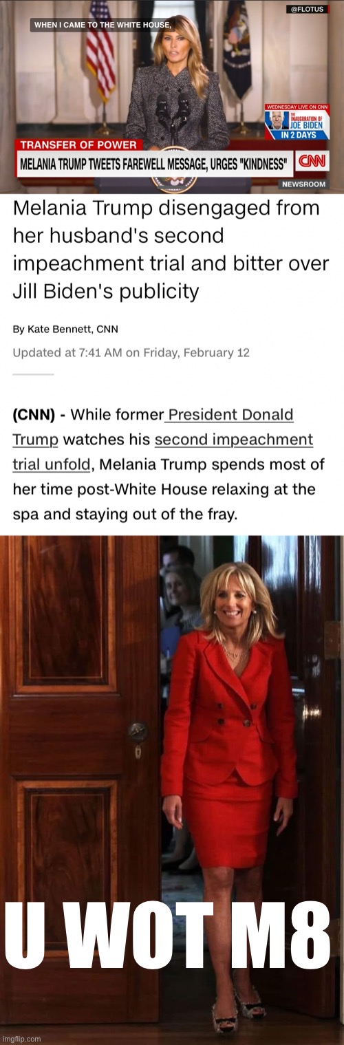Melania Trump: Not being her best. | U WOT M8 | image tagged in melania trump ex-first lady,dr j,melania trump,trump impeachment,impeach trump,impeachment | made w/ Imgflip meme maker