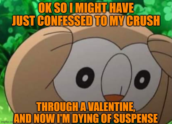 I hope I didn't just break my heart! | OK SO I MIGHT HAVE JUST CONFESSED TO MY CRUSH; THROUGH A VALENTINE, AND NOW I'M DYING OF SUSPENSE | image tagged in panicked rowlet,crush,valentine's day | made w/ Imgflip meme maker