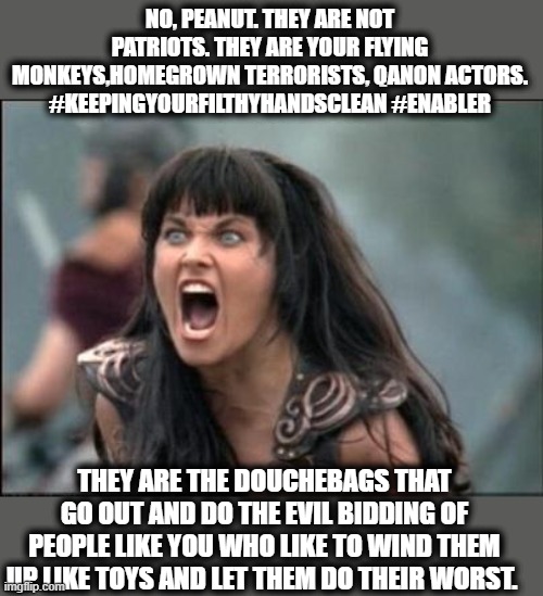 Angry Xena | NO, PEANUT. THEY ARE NOT PATRIOTS. THEY ARE YOUR FLYING MONKEYS,HOMEGROWN TERRORISTS, QANON ACTORS. #KEEPINGYOURFILTHYHANDSCLEAN #ENABLER TH | image tagged in angry xena | made w/ Imgflip meme maker
