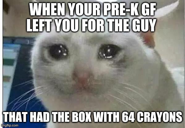 crying cat | WHEN YOUR PRE-K GF LEFT YOU FOR THE GUY; THAT HAD THE BOX WITH 64 CRAYONS | image tagged in crying cat | made w/ Imgflip meme maker