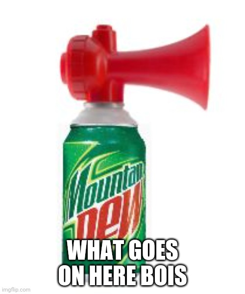 Teach me the way of the horn | WHAT GOES ON HERE BOIS | image tagged in mlg air horn | made w/ Imgflip meme maker