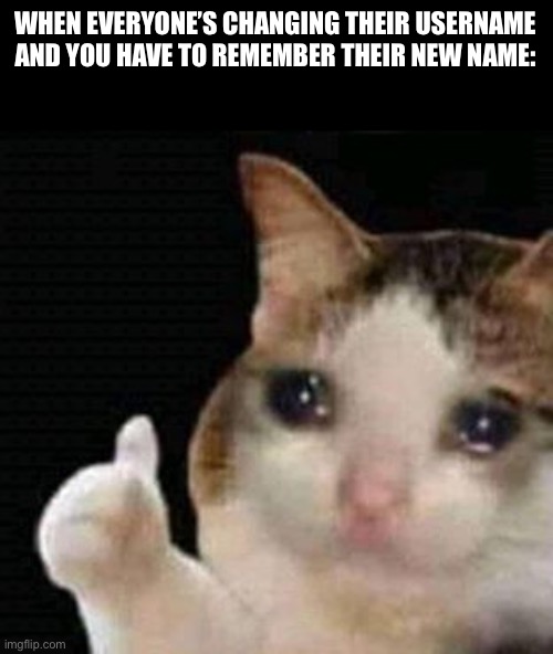 sad thumbs up cat | WHEN EVERYONE’S CHANGING THEIR USERNAME AND YOU HAVE TO REMEMBER THEIR NEW NAME: | image tagged in sad thumbs up cat | made w/ Imgflip meme maker