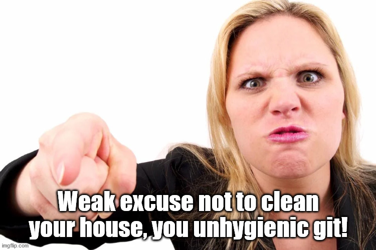 Offended woman | Weak excuse not to clean your house, you unhygienic git! | image tagged in offended woman | made w/ Imgflip meme maker