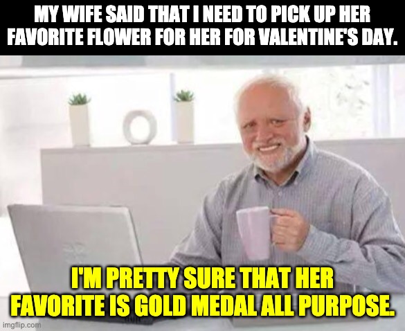 Favorite flower | MY WIFE SAID THAT I NEED TO PICK UP HER FAVORITE FLOWER FOR HER FOR VALENTINE'S DAY. I'M PRETTY SURE THAT HER FAVORITE IS GOLD MEDAL ALL PURPOSE. | image tagged in harold | made w/ Imgflip meme maker