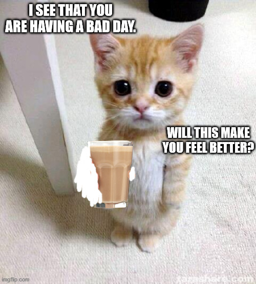 see this if you are having a bad day! | I SEE THAT YOU ARE HAVING A BAD DAY. WILL THIS MAKE YOU FEEL BETTER? | image tagged in memes,cute cat | made w/ Imgflip meme maker