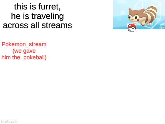 Blank White Template | this is furret, he is traveling across all streams; Pokemon_stream
(we gave him the  pokeball) | image tagged in blank white template | made w/ Imgflip meme maker