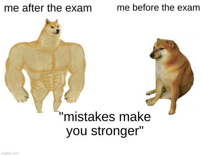 Buff Doge vs. Cheems Meme | me after the exam; me before the exam; "mistakes make you stronger" | image tagged in memes,buff doge vs cheems | made w/ Imgflip meme maker
