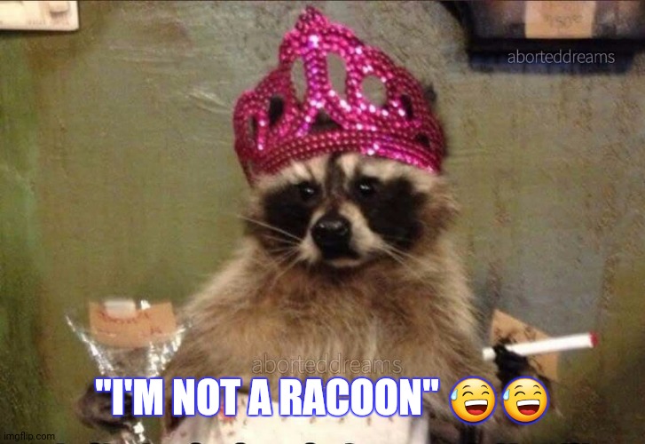 Zoom | "I'M NOT A RACOON" 😅😅 | image tagged in memes | made w/ Imgflip meme maker