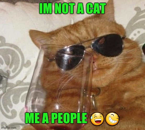 Zoom Zoom | IM NOT A CAT; ME A PEOPLE 😅😆 | image tagged in funny cat memes | made w/ Imgflip meme maker