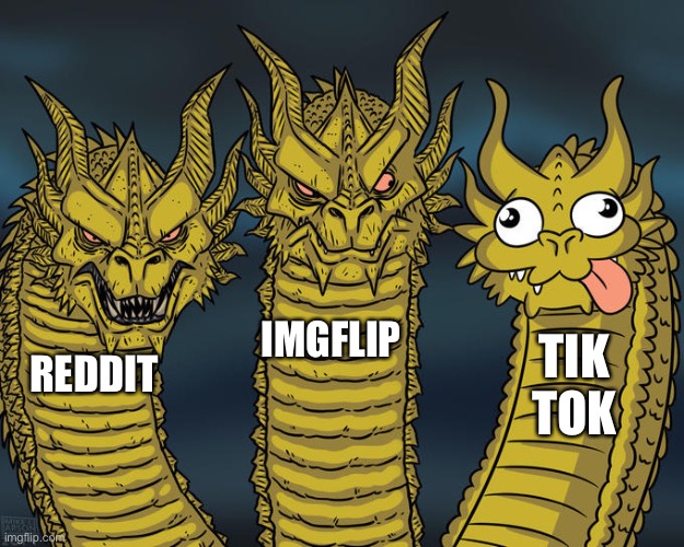 Y e s | IMGFLIP; TIK TOK; REDDIT | image tagged in three-headed dragon,never gonna give you up,never gonna let you down,never gonna run around | made w/ Imgflip meme maker