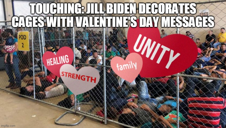 DOCTOR Jill Spreads the Love | TOUCHING: JILL BIDEN DECORATES CAGES WITH VALENTINE'S DAY MESSAGES | image tagged in memes | made w/ Imgflip meme maker