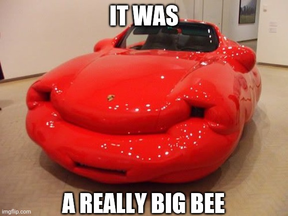 IS THAT CAR SWOLLEN? | IT WAS; A REALLY BIG BEE | image tagged in cars,strange cars | made w/ Imgflip meme maker