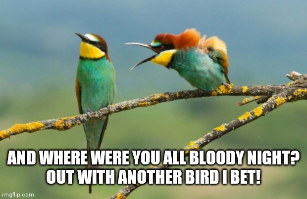 AND WHERE WERE YOU ALL BLOODY NIGHT?
OUT WITH ANOTHER BIRD I BET! | image tagged in nag nag nag | made w/ Imgflip meme maker