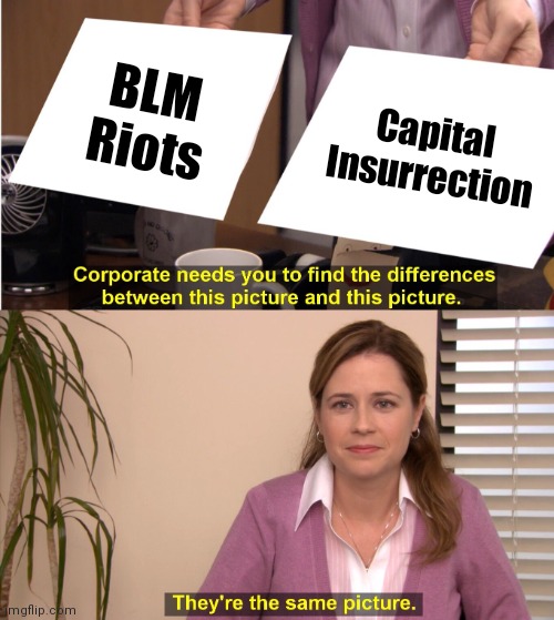 They're The Same Picture Meme | BLM Riots Capital Insurrection | image tagged in memes,they're the same picture | made w/ Imgflip meme maker
