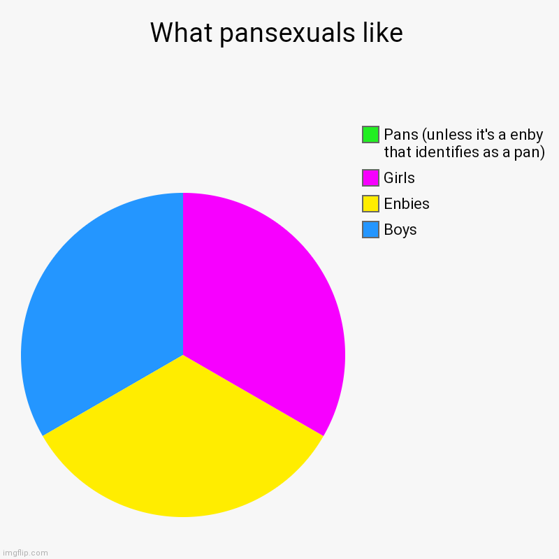 Eheheheh | What pansexuals like | Boys, Enbies, Girls, Pans (unless it's a enby that identifies as a pan) | image tagged in charts,pie charts | made w/ Imgflip chart maker