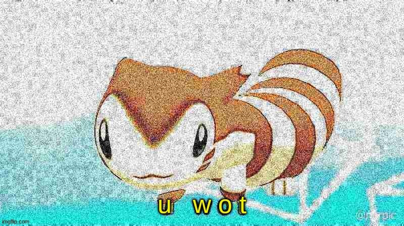 Furret u wot | image tagged in u wot | made w/ Imgflip meme maker