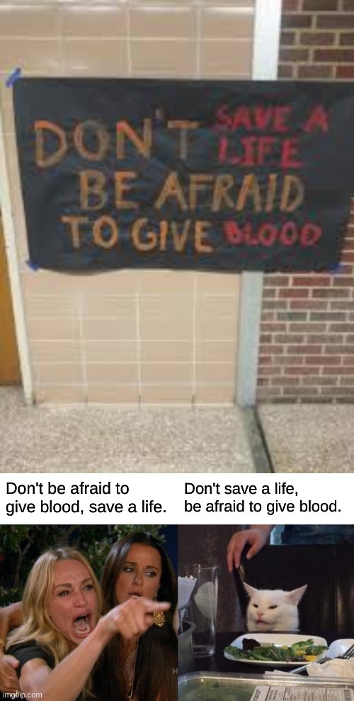 I saw the same as the cat | Don't be afraid to give blood, save a life. Don't save a life, be afraid to give blood. | image tagged in memes,woman yelling at cat | made w/ Imgflip meme maker