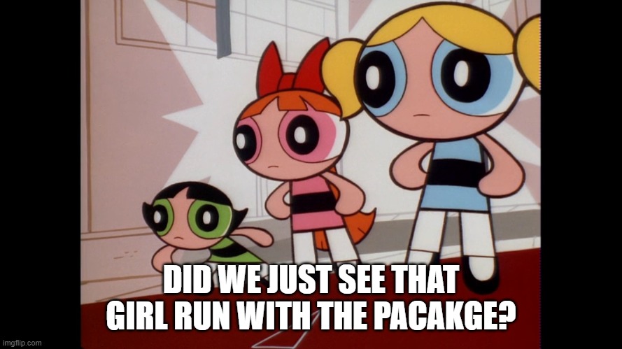 Powerpuff girls wat... | DID WE JUST SEE THAT GIRL RUN WITH THE PACAKGE? | image tagged in powerpuff girls wat | made w/ Imgflip meme maker