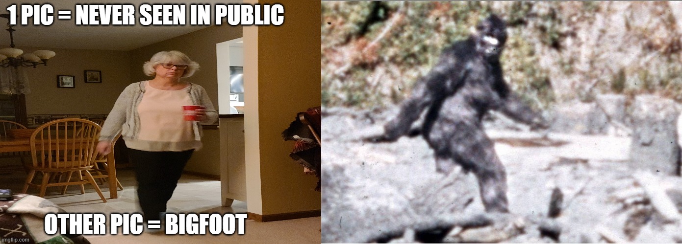 1 PIC = NEVER SEEN IN PUBLIC; OTHER PIC = BIGFOOT | image tagged in memes,say that again i dare you | made w/ Imgflip meme maker