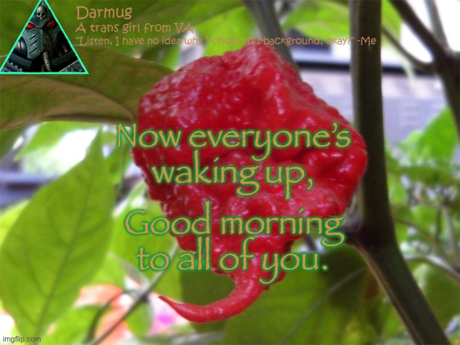 darmug's announcement template | Now everyone’s waking up, Good morning to all of you. | image tagged in darmug's announcement template | made w/ Imgflip meme maker