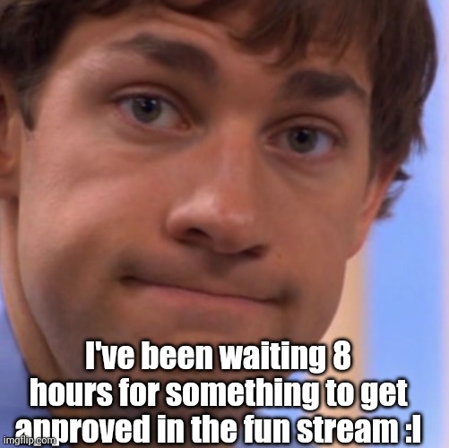 It's taking so long reeeeeeeeee | I've been waiting 8 hours for something to get approved in the fun stream :l | image tagged in welp jim face | made w/ Imgflip meme maker