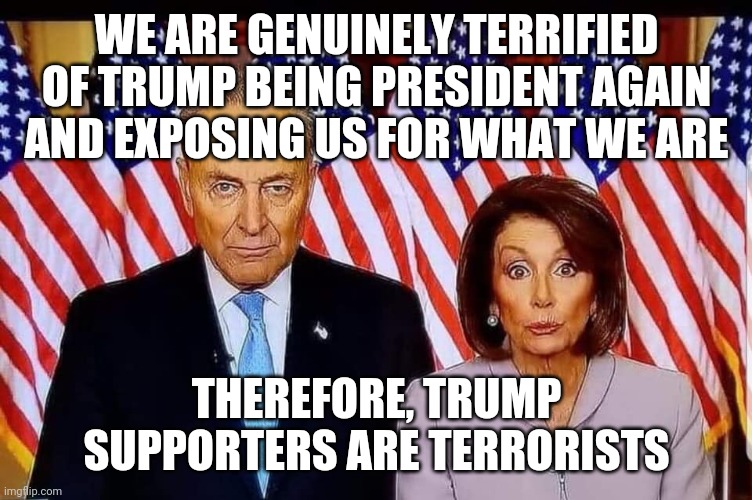 Leftist "terror" victims | WE ARE GENUINELY TERRIFIED OF TRUMP BEING PRESIDENT AGAIN AND EXPOSING US FOR WHAT WE ARE; THEREFORE, TRUMP SUPPORTERS ARE TERRORISTS | image tagged in chuck and nancy | made w/ Imgflip meme maker