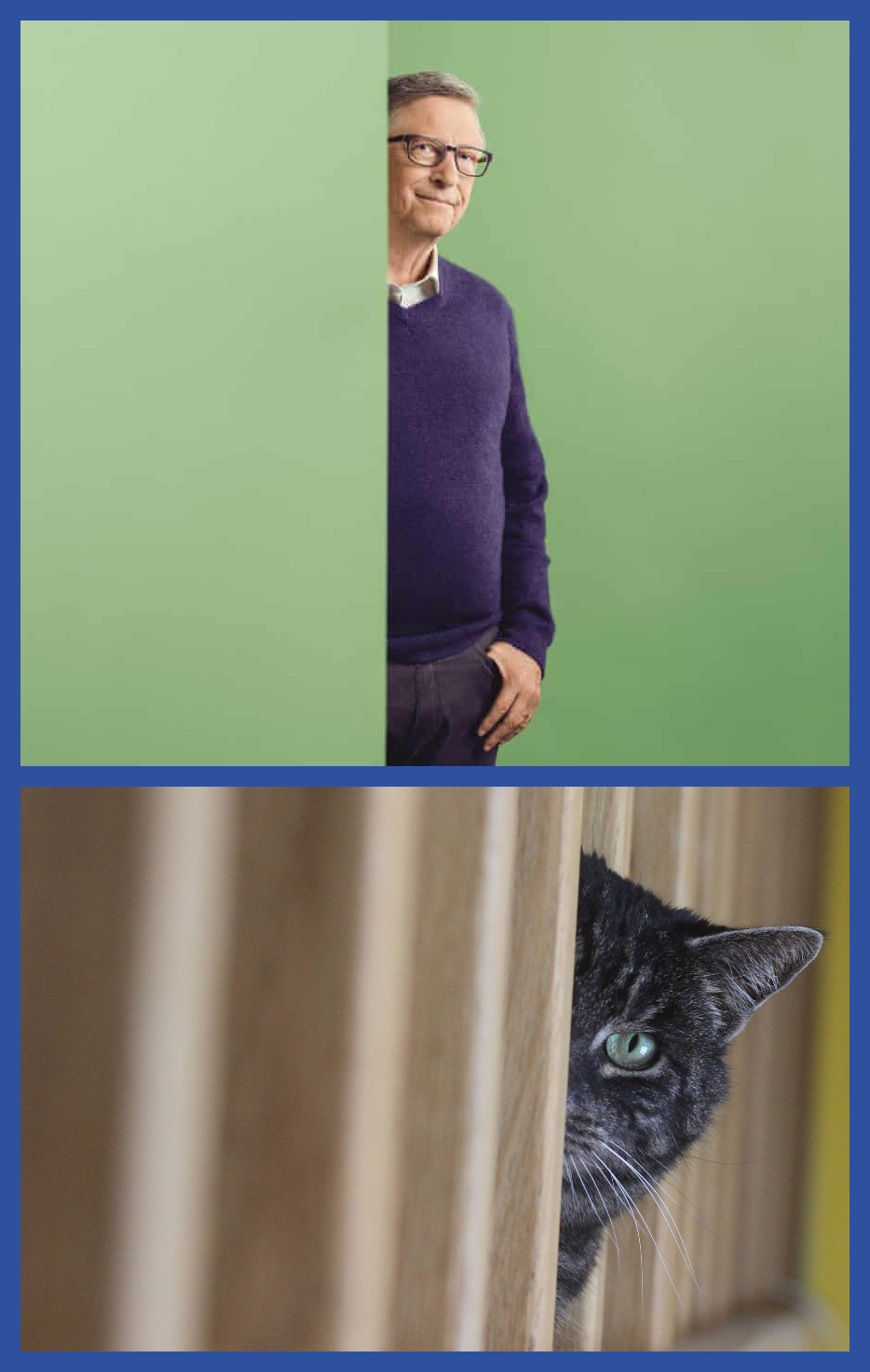 High Quality Bill Gates and Cat Blank Meme Template