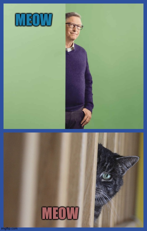 The Next Big Thing | MEOW; MEOW | image tagged in bill gates and cat,bill gates,climate change,bad advice cat,coronavirus,russia | made w/ Imgflip meme maker