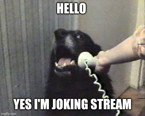 hello this is dog | HELLO; YES I'M JOKING STREAM | image tagged in hello this is dog | made w/ Imgflip meme maker