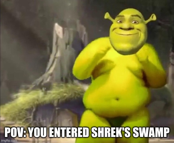 wtf | POV: YOU ENTERED SHREK'S SWAMP | image tagged in memes,funny,shrek,idk,pov,cursed | made w/ Imgflip meme maker
