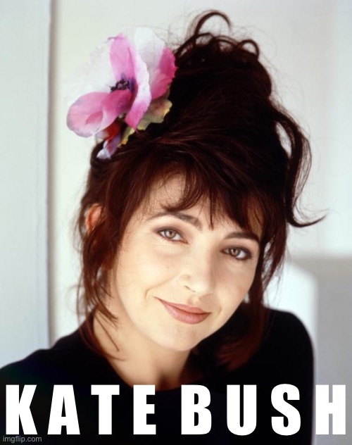 The eclectic and talented | K A T E  B U S H | image tagged in kate bush,musician,music,80s music,pop music,singer | made w/ Imgflip meme maker