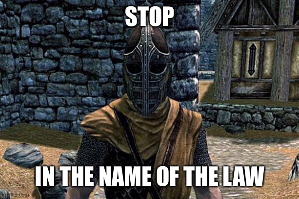 skyrim guard | STOP IN THE NAME OF THE LAW | image tagged in skyrim guard | made w/ Imgflip meme maker