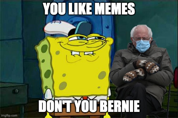 Don't You Squidward | YOU LIKE MEMES; DON'T YOU BERNIE | image tagged in memes,don't you squidward | made w/ Imgflip meme maker