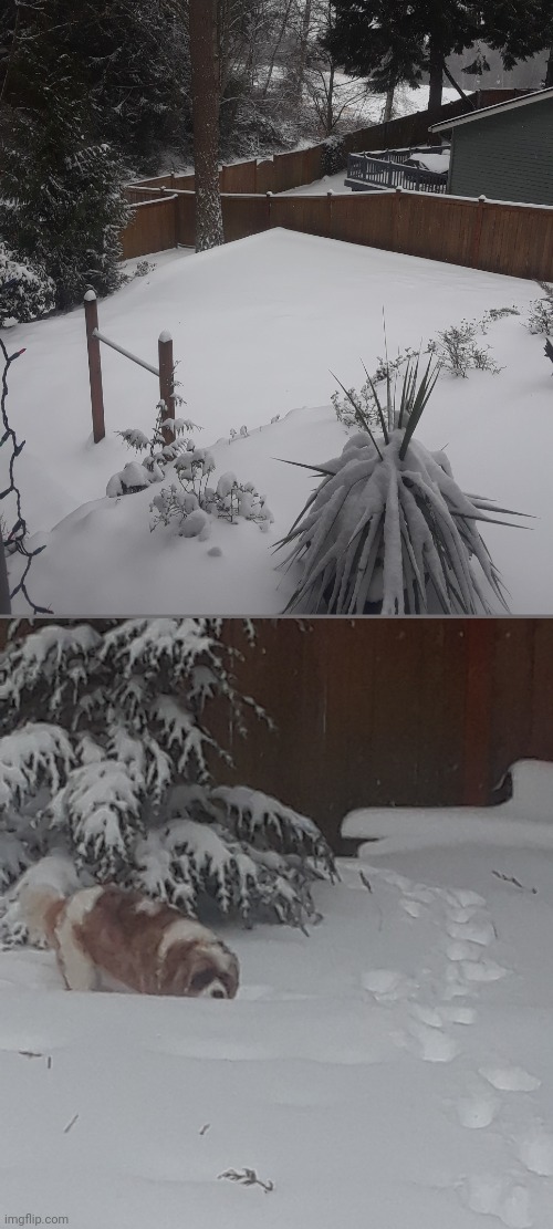 ITS SO DEEP-  oh that sounds wrong :[ | made w/ Imgflip meme maker