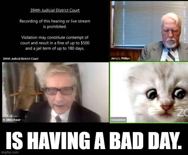 When you Know Your Lawyer | IS HAVING A BAD DAY. | image tagged in fun,bad day,lawyer,zoom,cat,filter | made w/ Imgflip meme maker